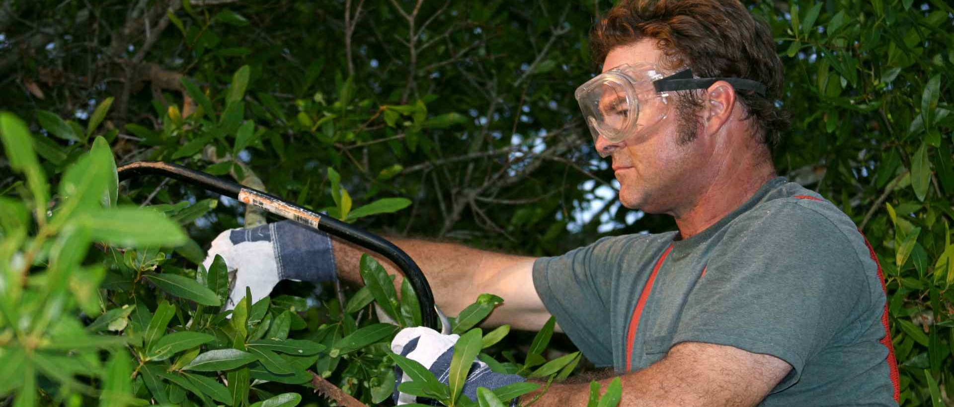 garden clearance SM1
